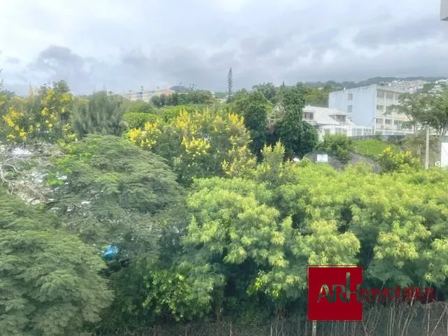 Aed - Furnished Flat with Ocean View in St Denis