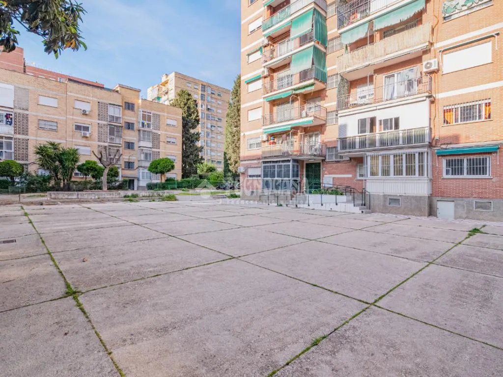 Jardin - Four-Bedroom Flat with Terrace in Cartuja