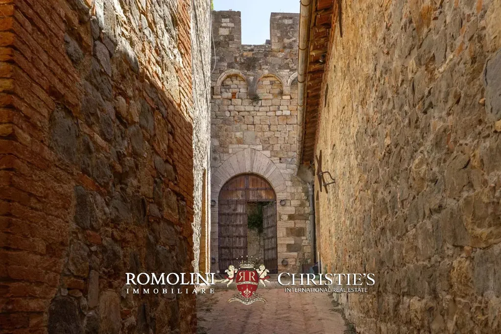Aed - Medieval Castle with Panoramic Views in Val d'Orcia
