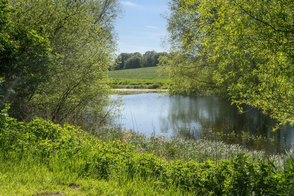 Charming Countryside House with Panoramic Views near Vordingborg