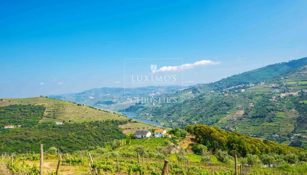Aed - 5-Star Quinta with Vineyard Views in Douro Valley