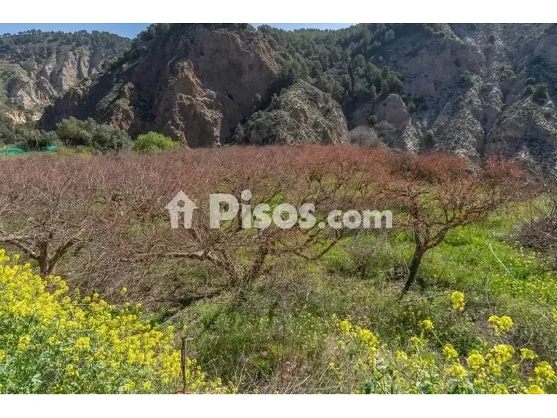 Giardino - Rustic Finca with Mountain View in Cónchar