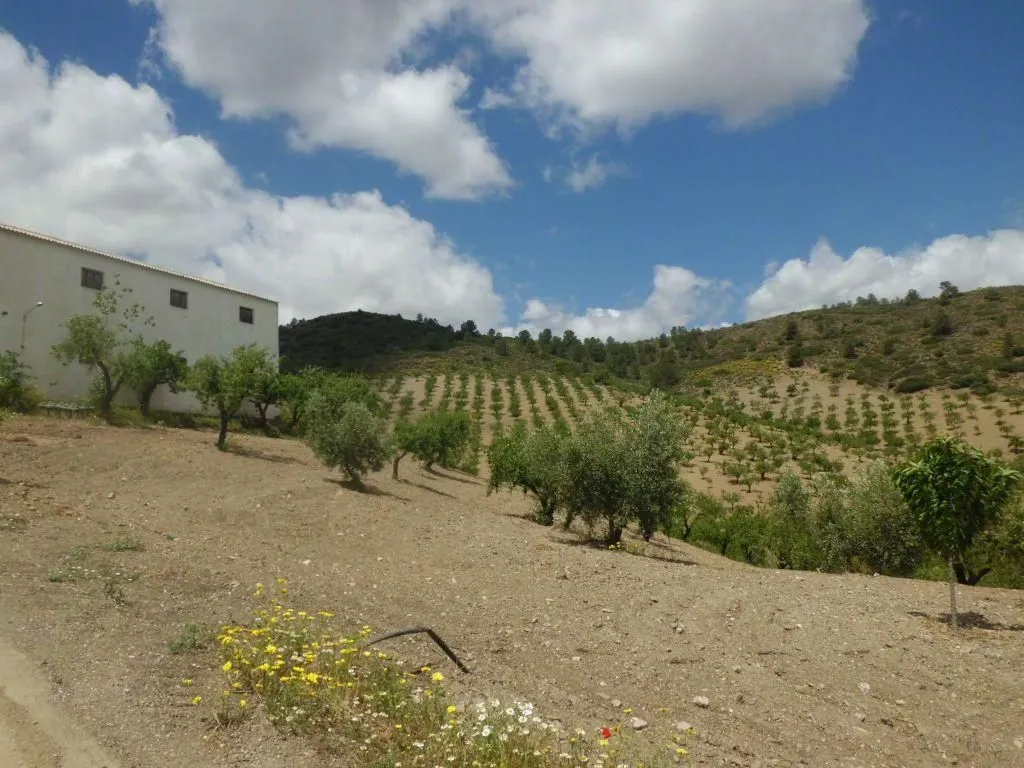Jardin - Luxury Farmhouse with Pool in Lorca