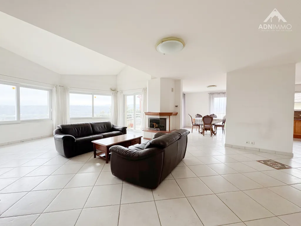 Séjour - Maison individuelle avec terrasse sud à Pougny