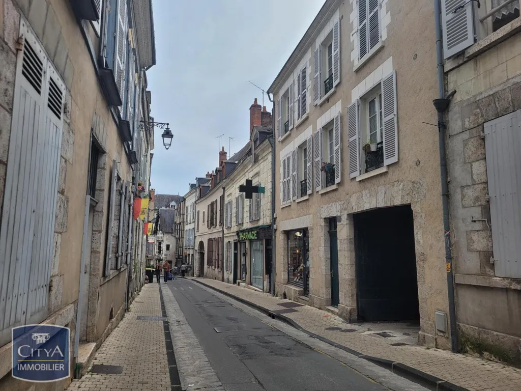 Välivaade - Charming 5-Piece Appartement in Blois Centre