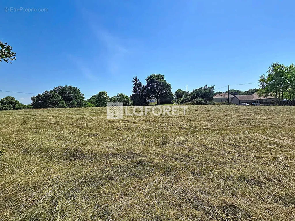 Jardin - Terrain à bâtir avec vue sur les Pyrénées à Arthez-de-Béarn