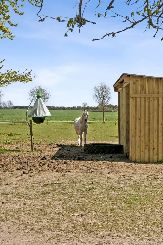 Garden - Farmhouse with Equestrian Facilities in Haarby