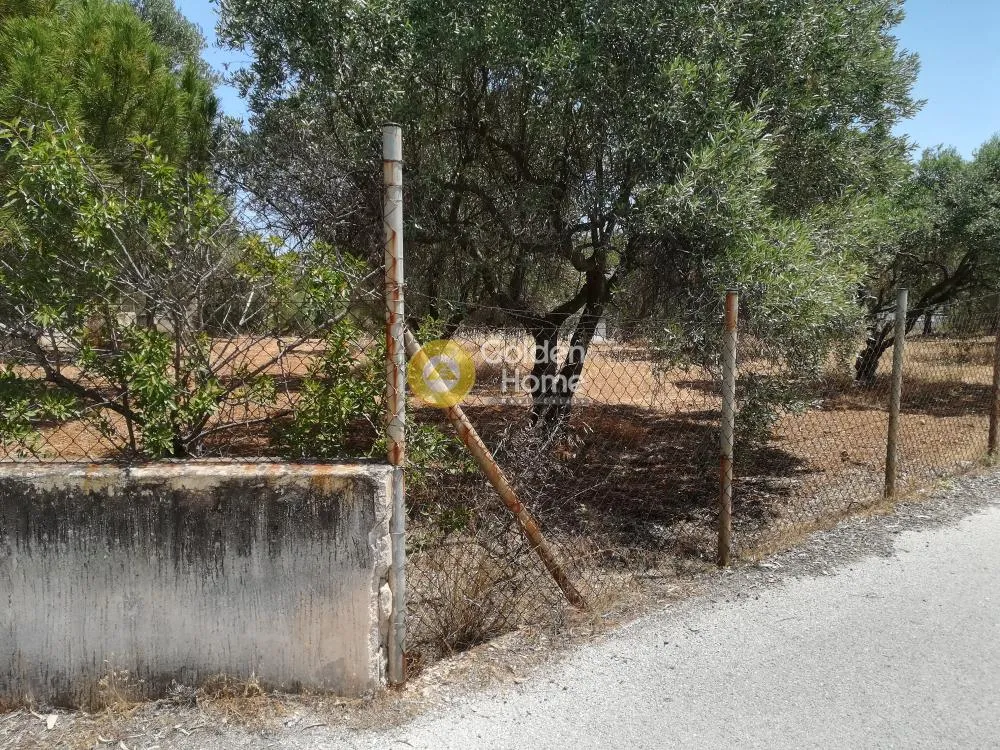 Terrain à GR