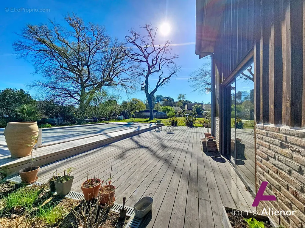 terrace_patio