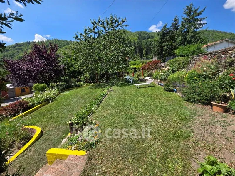 Jardin - Restored Rustico with Garden in Camporgiano