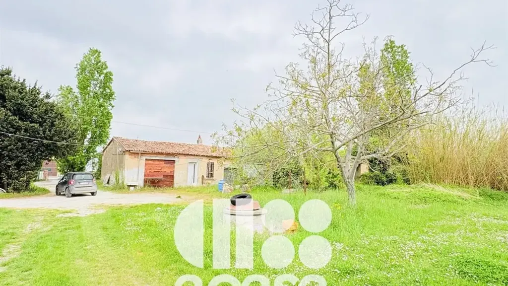 Jardin - Rustic House to Renovate in Cesenatico