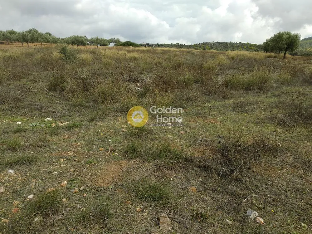 Aed - Plot with Sea View in Synteria, Keratea