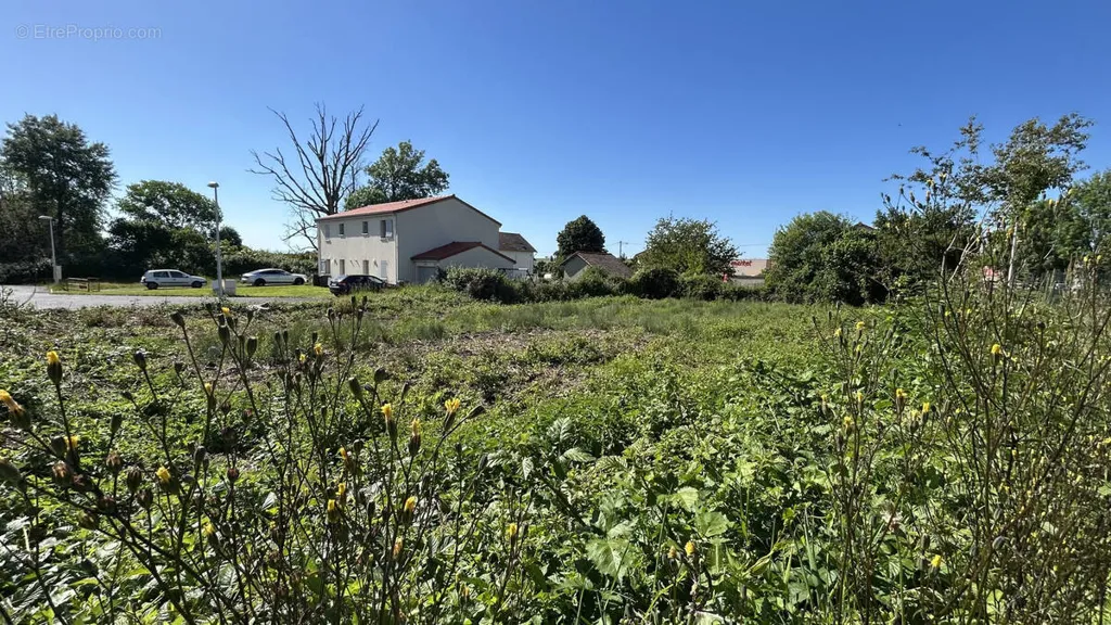 Aed - Buildable Plot with Utilities in Lezoux