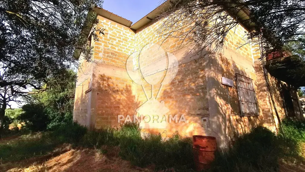 Exterior - Villa with Olive Grove in Partinico