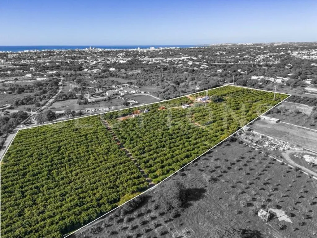 land_plot