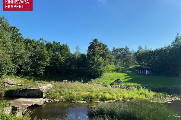 Jardin - Terrain à Tori vald