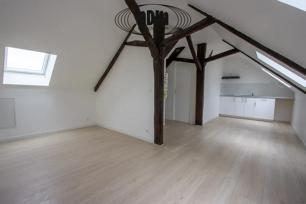 Toad - Bright Studio with Kitchenette in Meaux