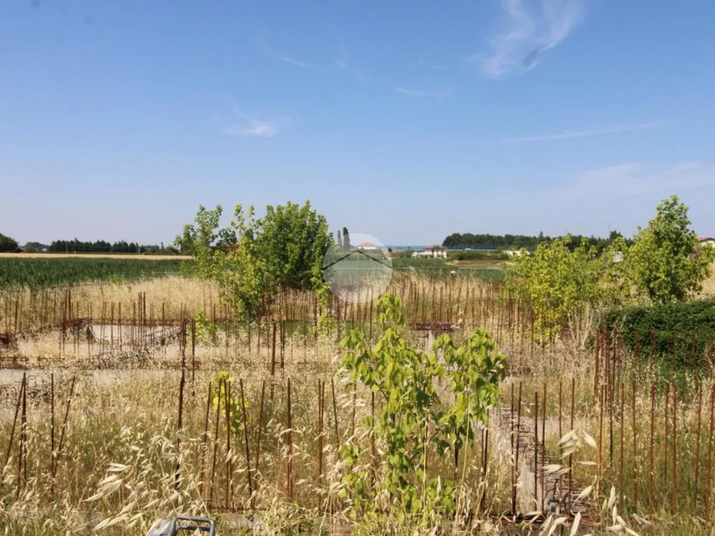 Giardino - Residential Plot with Building Potential in Bertinoro