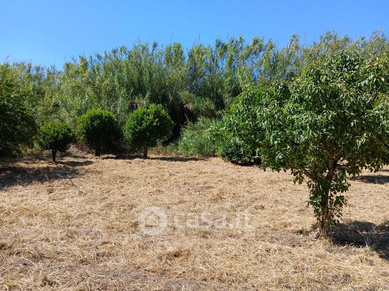 Aed - Rustic Casale with Garden in Arborea Centre