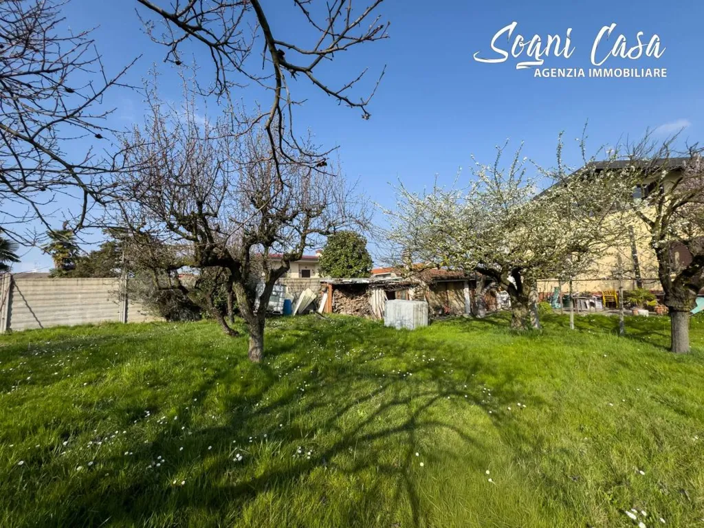 Jardin - Villa with Garden in Marano Ticino