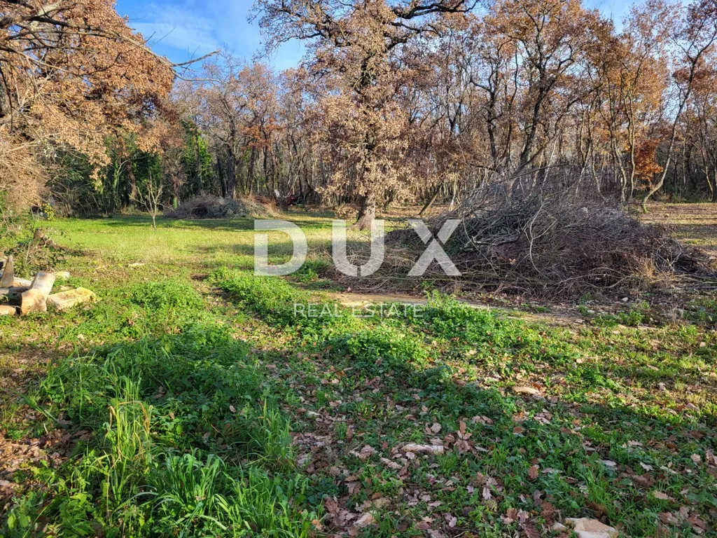 Giardino - Planned Development with Agricultural Land in Umag