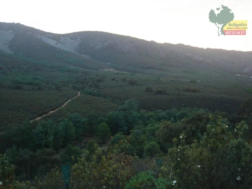 Luxury Villa with Forest Access in Guadalupe