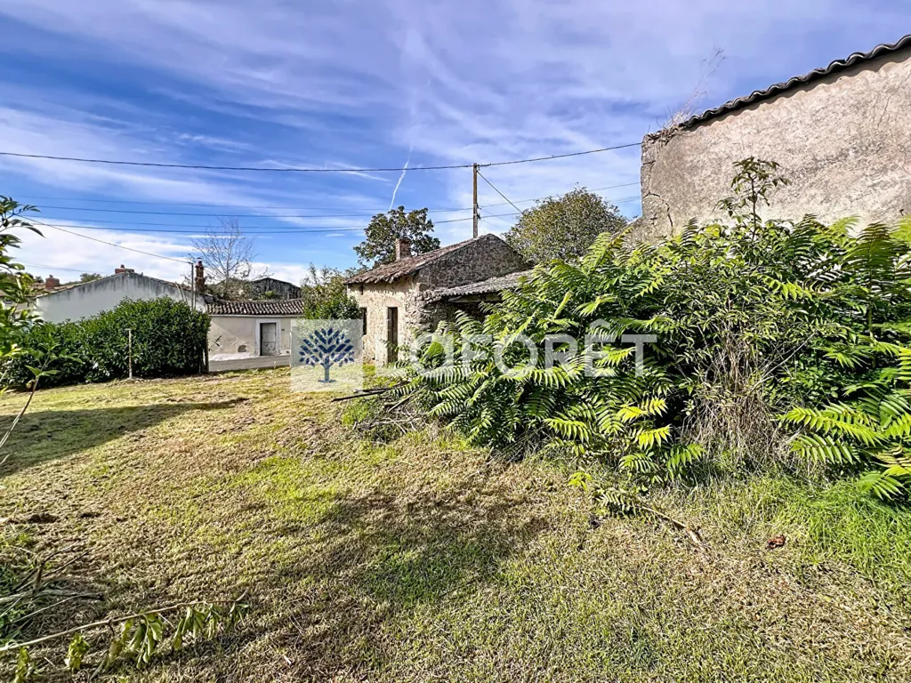 Jardin - Maison en Pierre à Rénover près de Saint-Varent