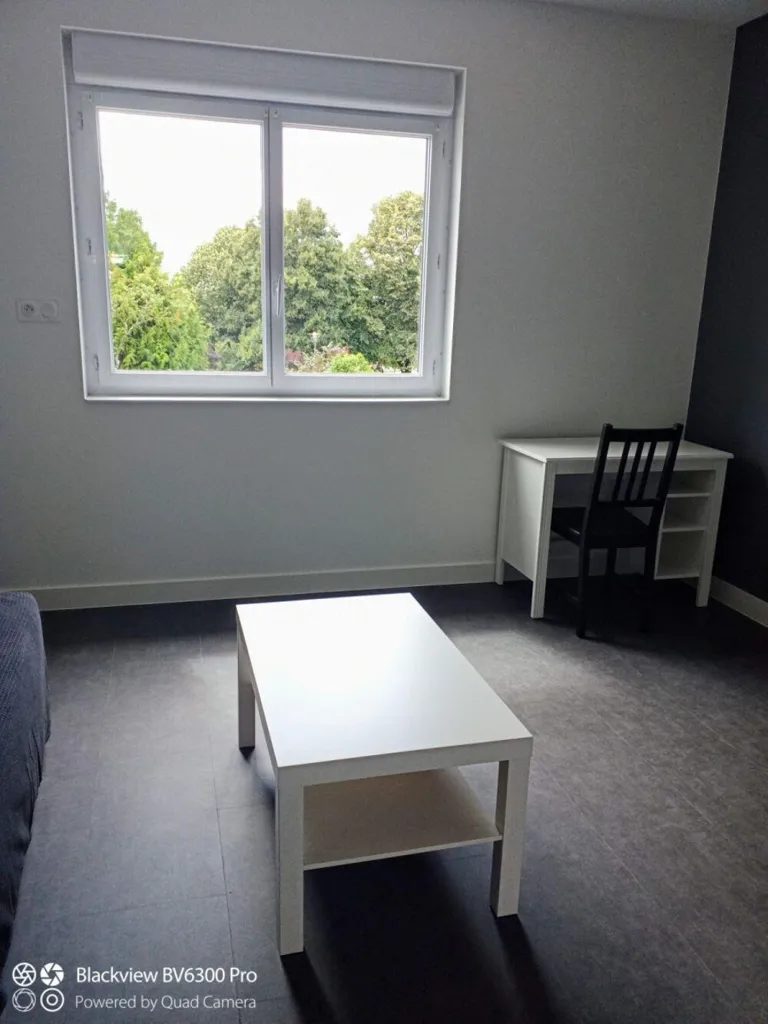 Séjour - Studio Meublé avec Parking à Cholet