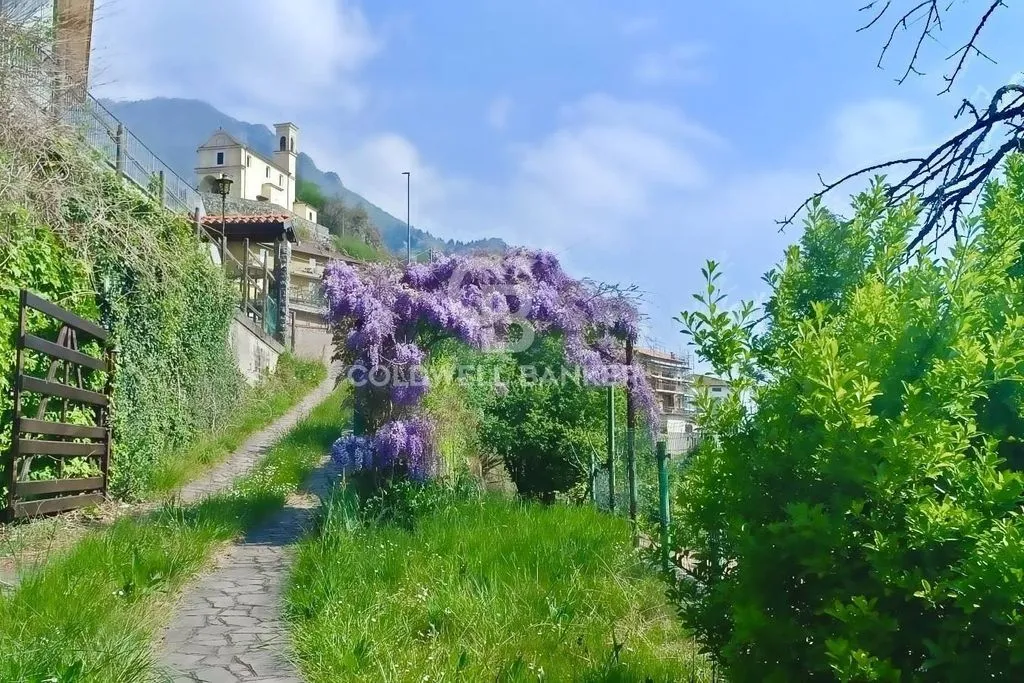 Jardin - Panoramic Villa with Private Park in Costa Volpino