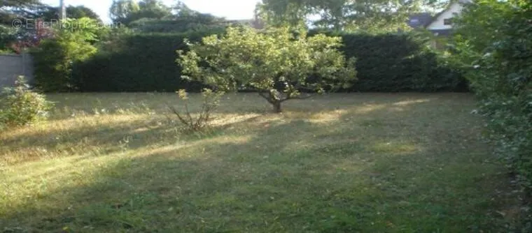 Aed - Plot with Garden in Fontenay-aux-Roses