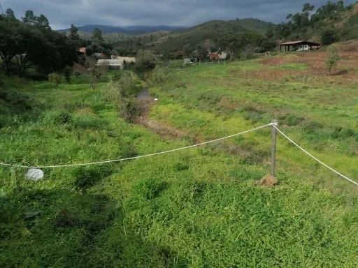Jardin - Rustic Land with Orchard and Cork Oak in Alvor