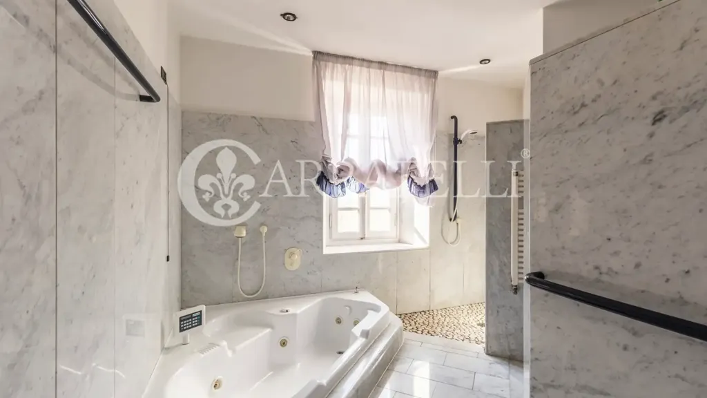 Vannitoad - Historic Villa with Olive Grove in Capannori