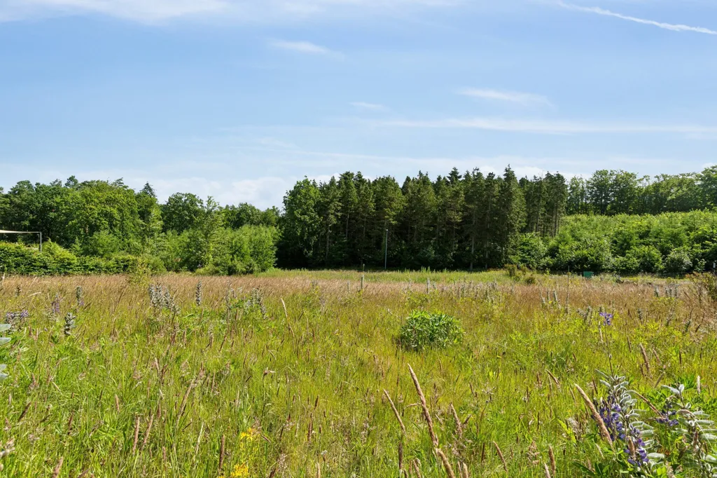 Jardin - Year-Round Plot with 5G Coverage in Mariager