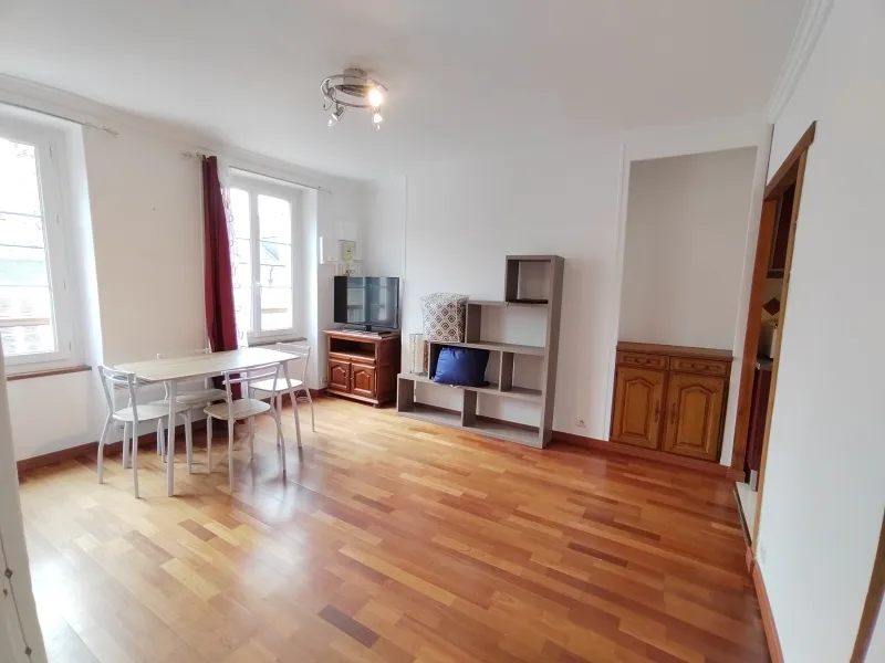 Séjour - Appartement Meublé 1 Pièce à Orléans