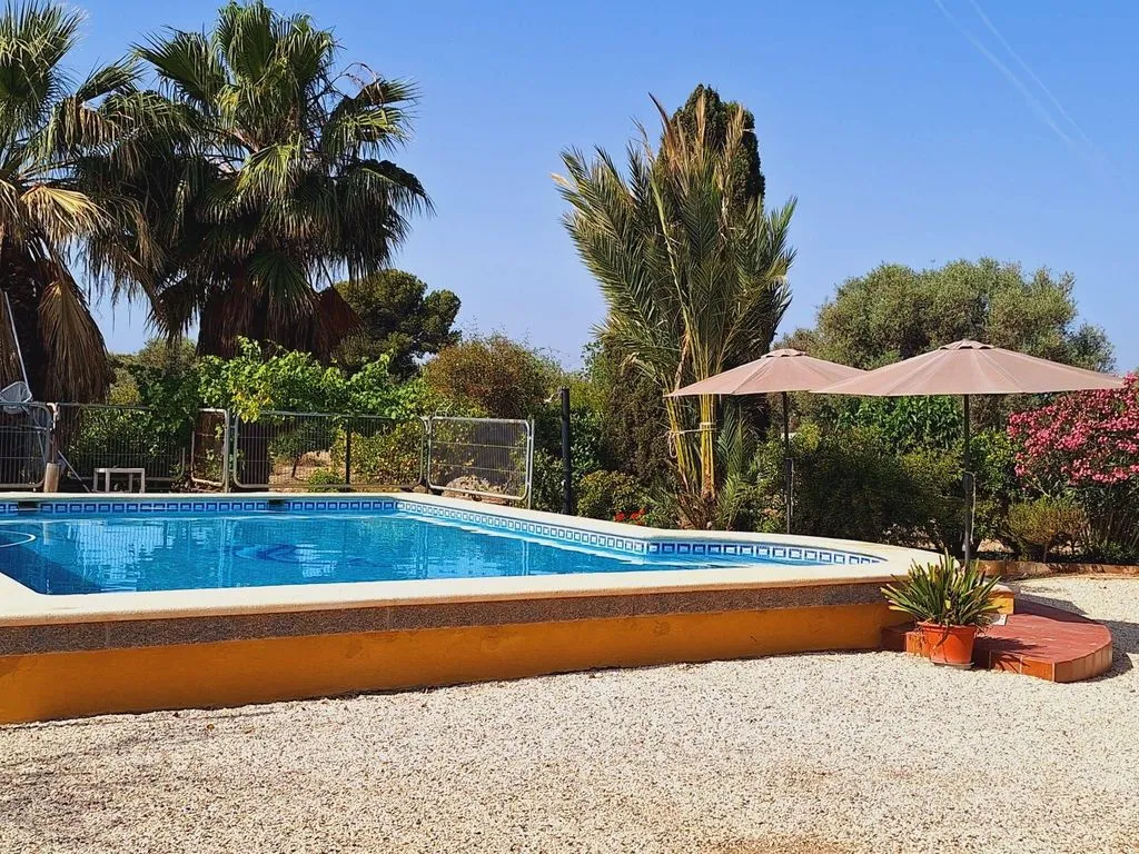 Bassein - Detached House with Pool in Alicante