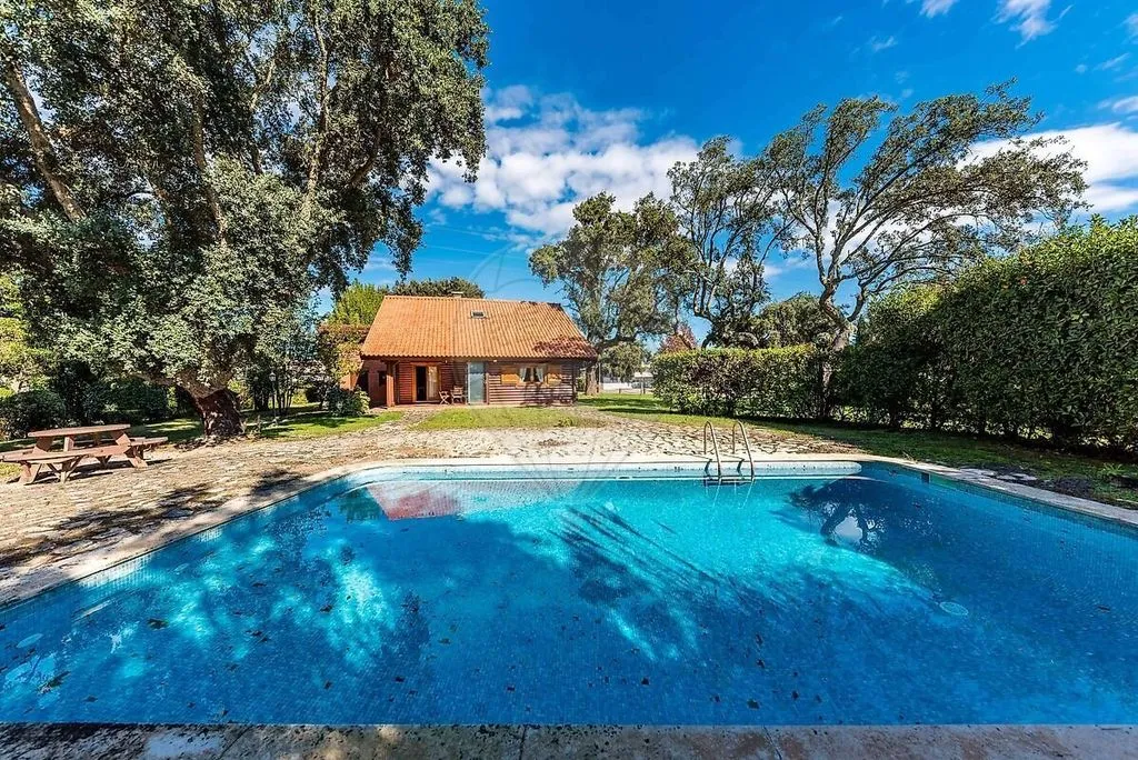Piscine - Luxury Villa in Palmela, Setúbal