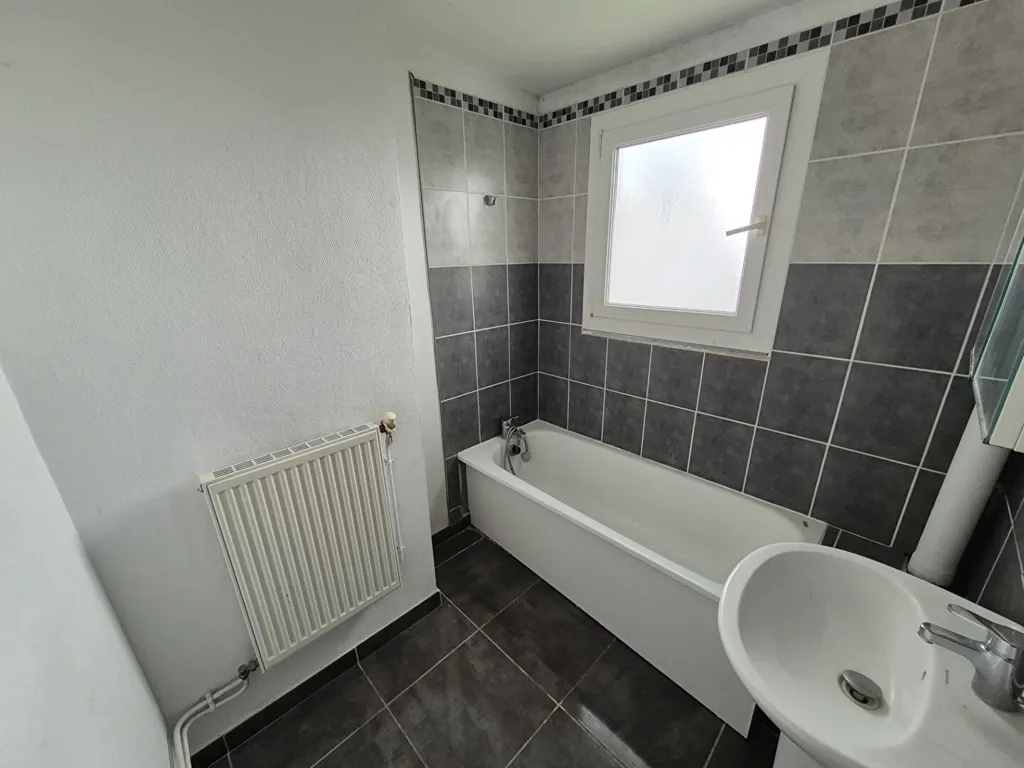 Vannitoad - Traversant Apartment with Terrace in Roubaix