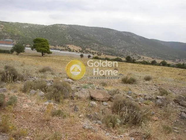 Land in GR