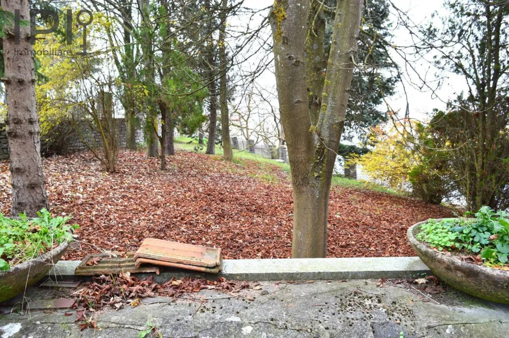 Aed - Villa with Alpine View in Mombarcaro
