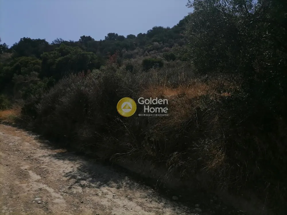 Aed - Agricultural Land with Unrestricted View in Phaistos