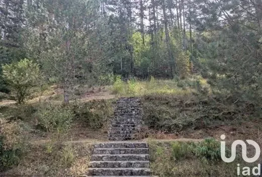 Jardin - Maison rénovée avec jardin en Périgord noir