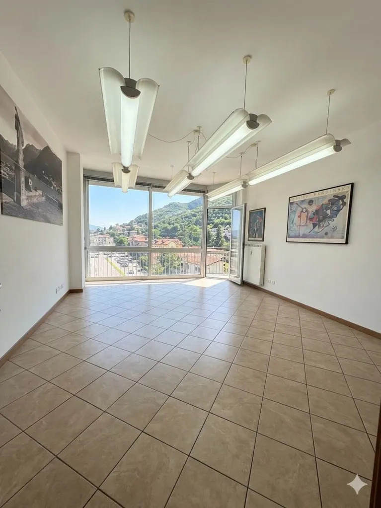 Toad - Spacious Apartment with Lake View in Como