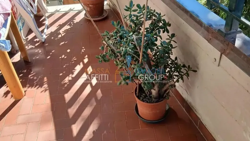 Terrasse - 5-Room Apartment with Terraces in Massa