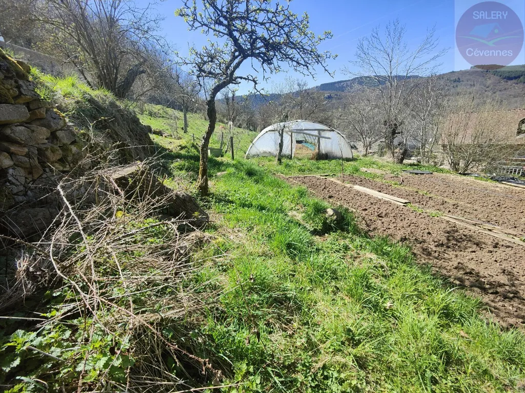 Jardin - Ferme à Rénover avec Terrain à Ispagnac