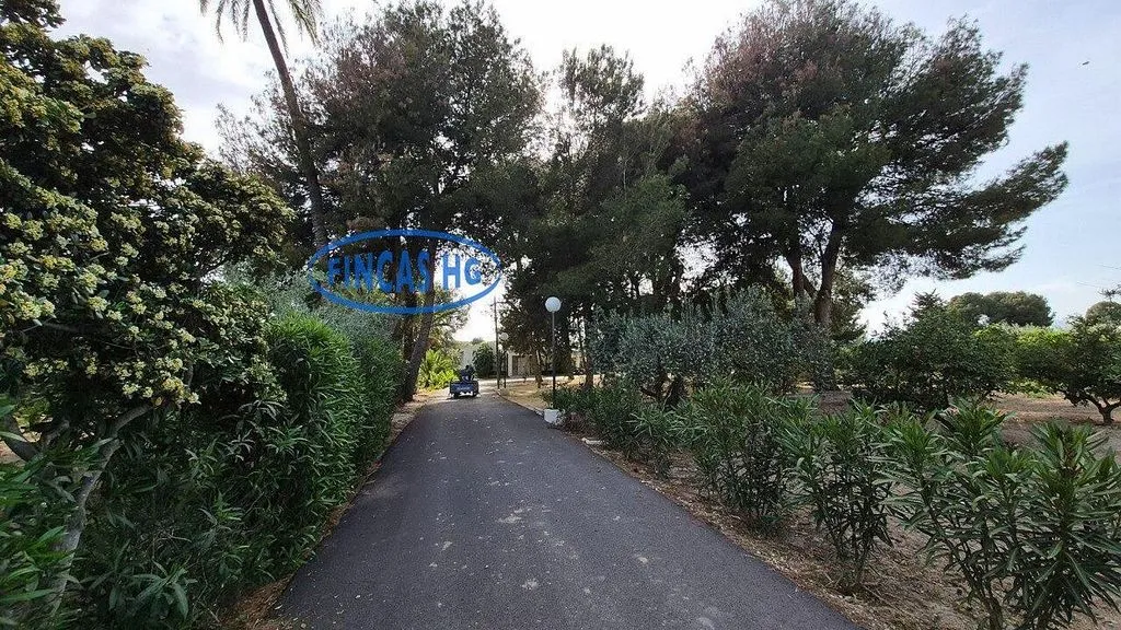 Extérieur - Estate with Pool and Garden in Mutxamel