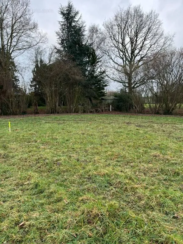 Aed - Buildable Plot with Garden in Saint-Rémy-Des-Monts