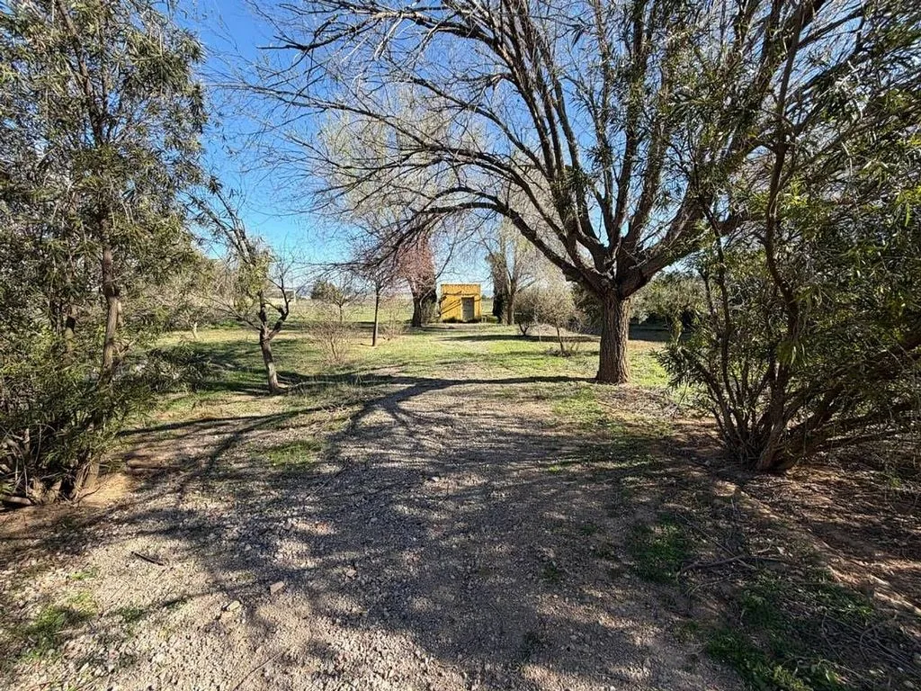 Jardin - Reformed Chalet with Garden in Almansa