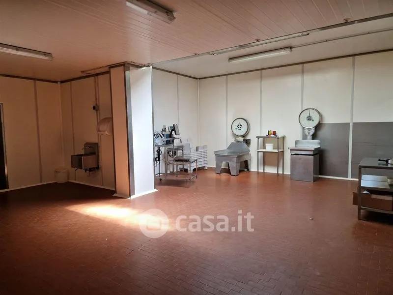 Toad - Mixed-Use Rustico with Industrial Space in Falconara Marittima