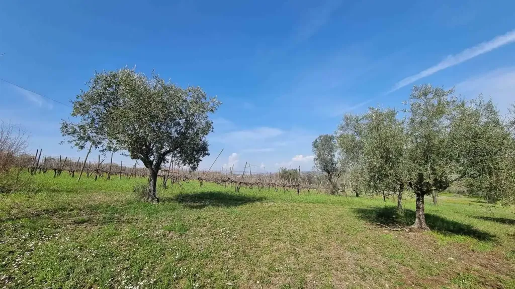 Aed - Independent House with Dual Access in Torre Le Nocelle