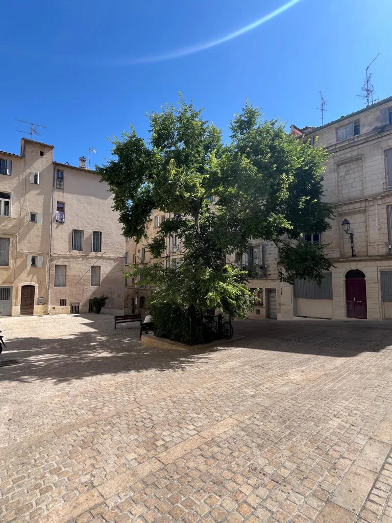 Aed - Charming Studio with Independent Entrance in Montpellier